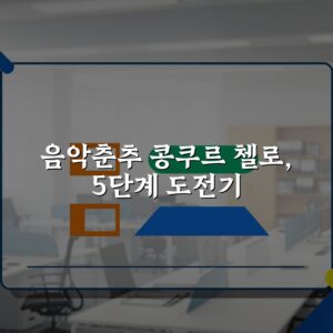 음악춘추 콩쿠르 첼로, 5단계 도전기