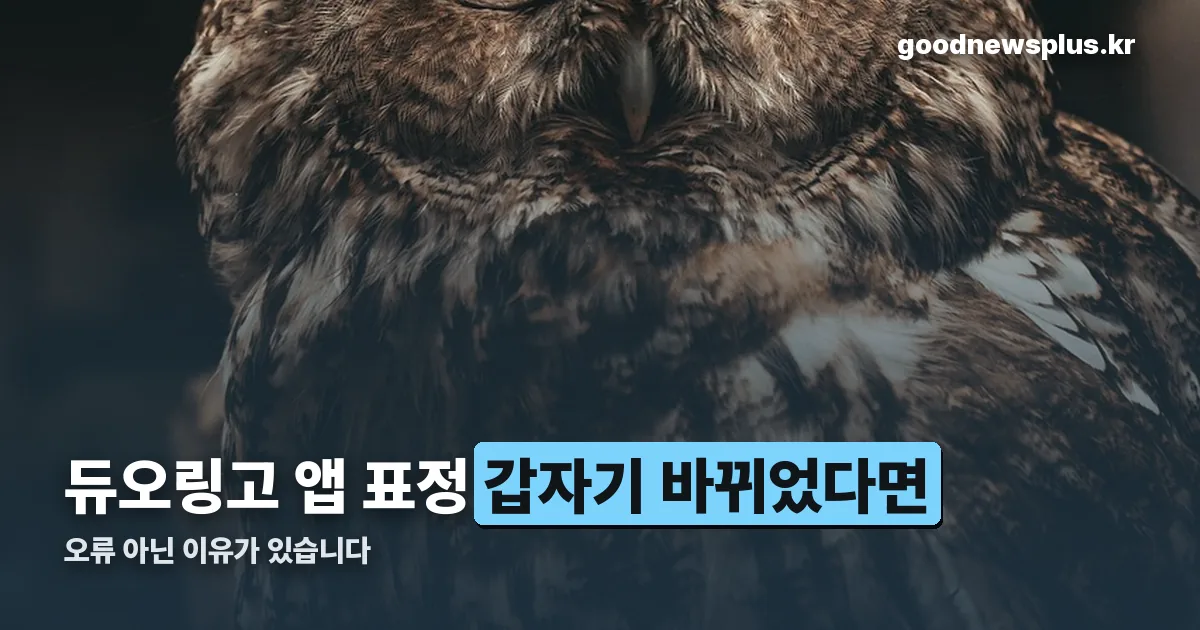 듀오링고 앱 표정 정리 썸네일