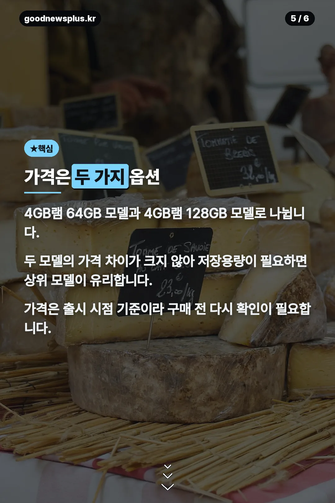 가격 옵션 설명